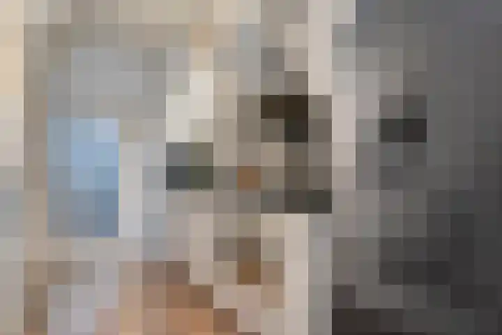 Boven Nieuwstraat 99 Kampen thumbnail 12