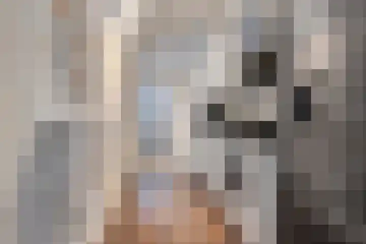Boven Nieuwstraat 99 Kampen thumbnail 14