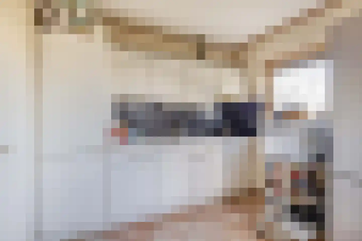 Boven Oostdijk 27 Den Bommel thumbnail 13