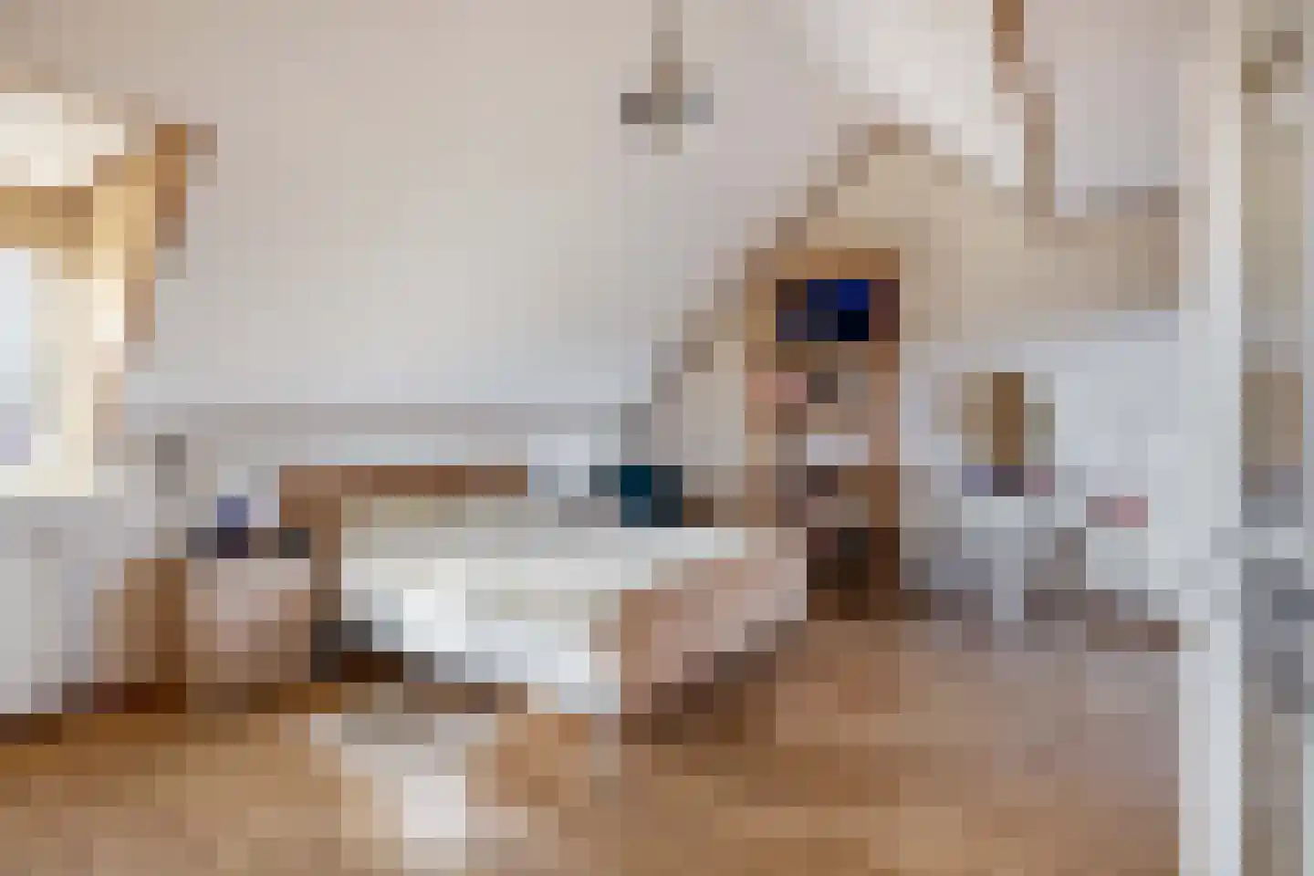 Boven Oostdijk 27 Den Bommel thumbnail 20