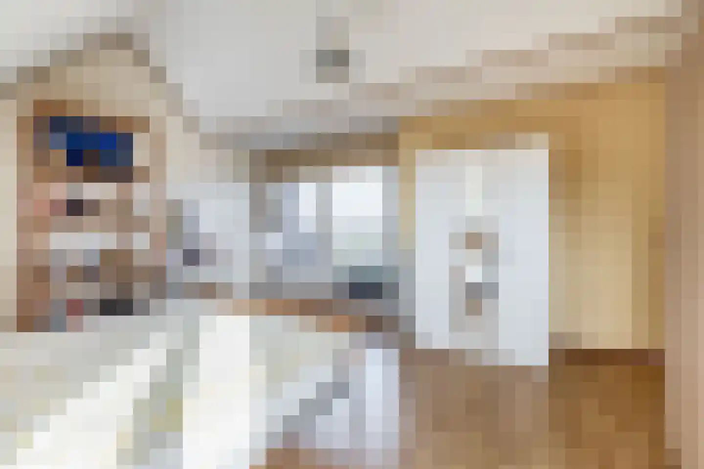 Boven Oostdijk 27 Den Bommel thumbnail 22
