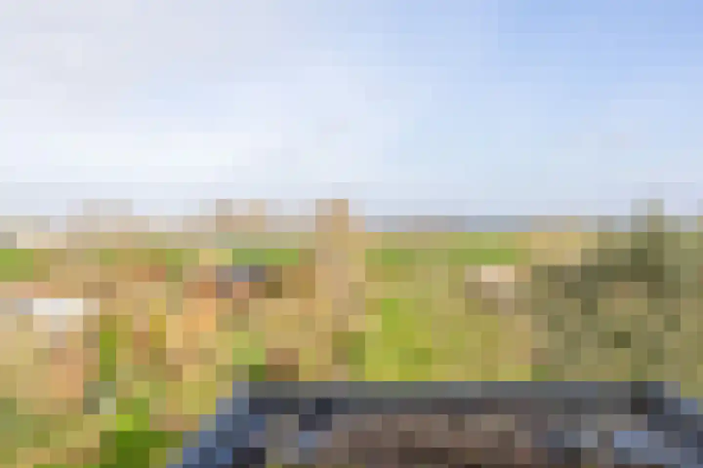 Boven Oostdijk 27 Den Bommel thumbnail 30