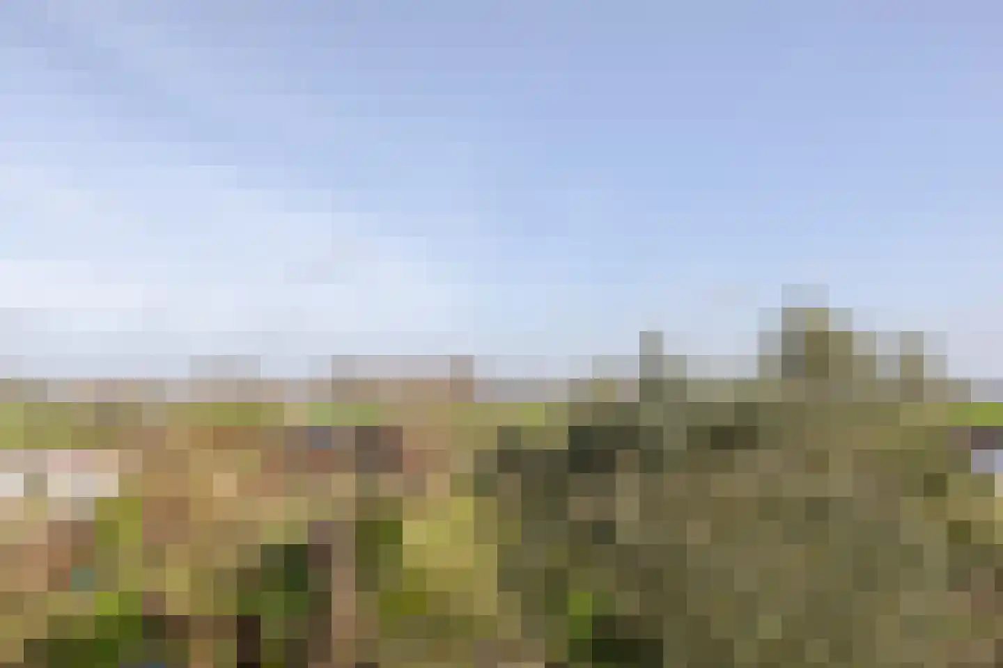 Boven Oostdijk 27 Den Bommel thumbnail 31