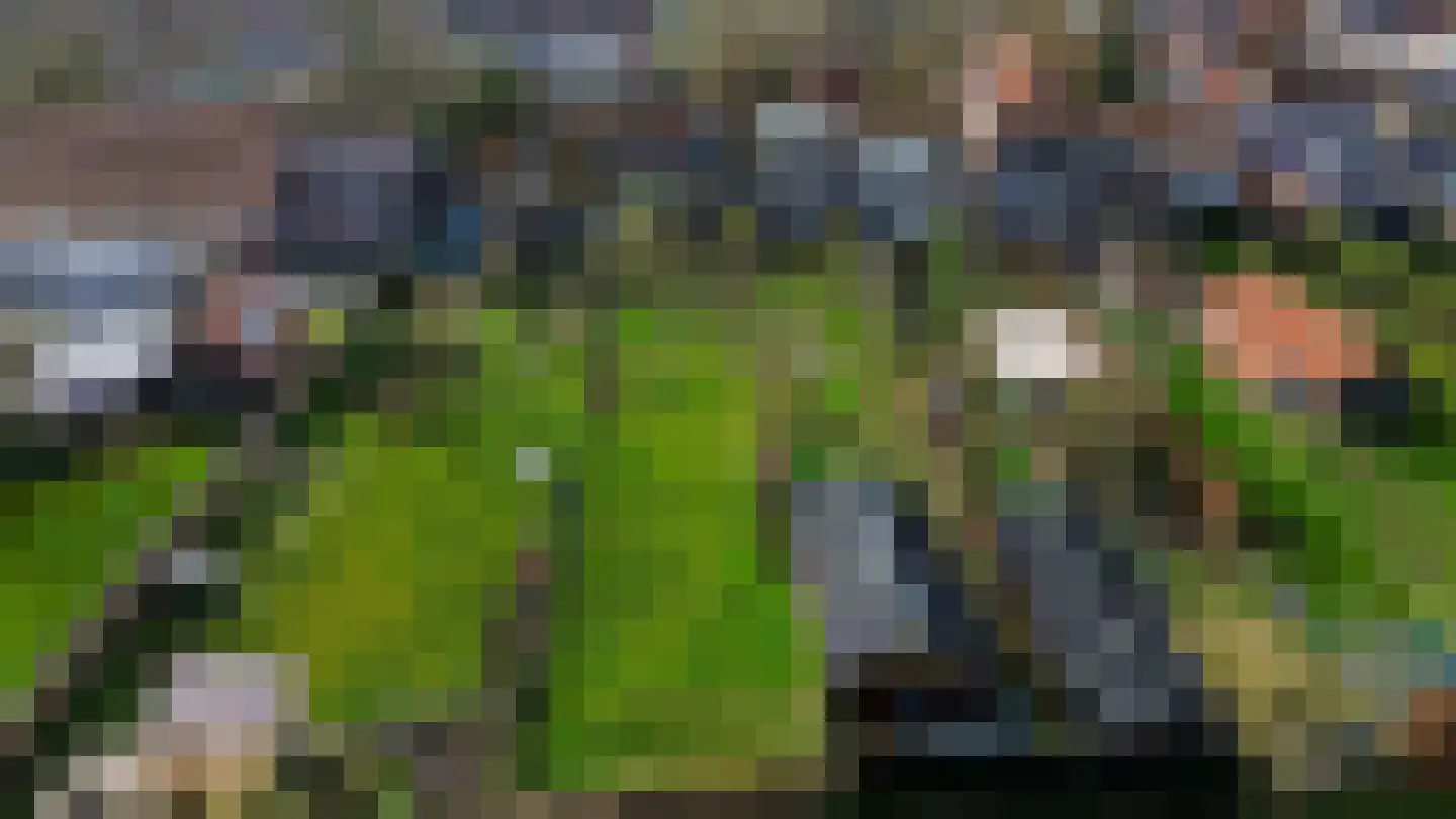 Boven Oostdijk 27 Den Bommel thumbnail 36