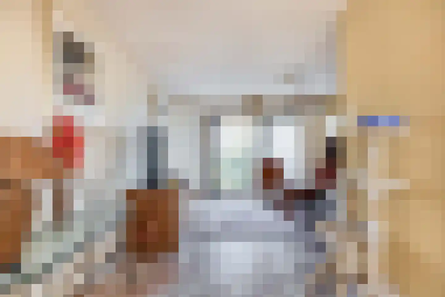 Boven Oostdijk 27 Den Bommel thumbnail 8