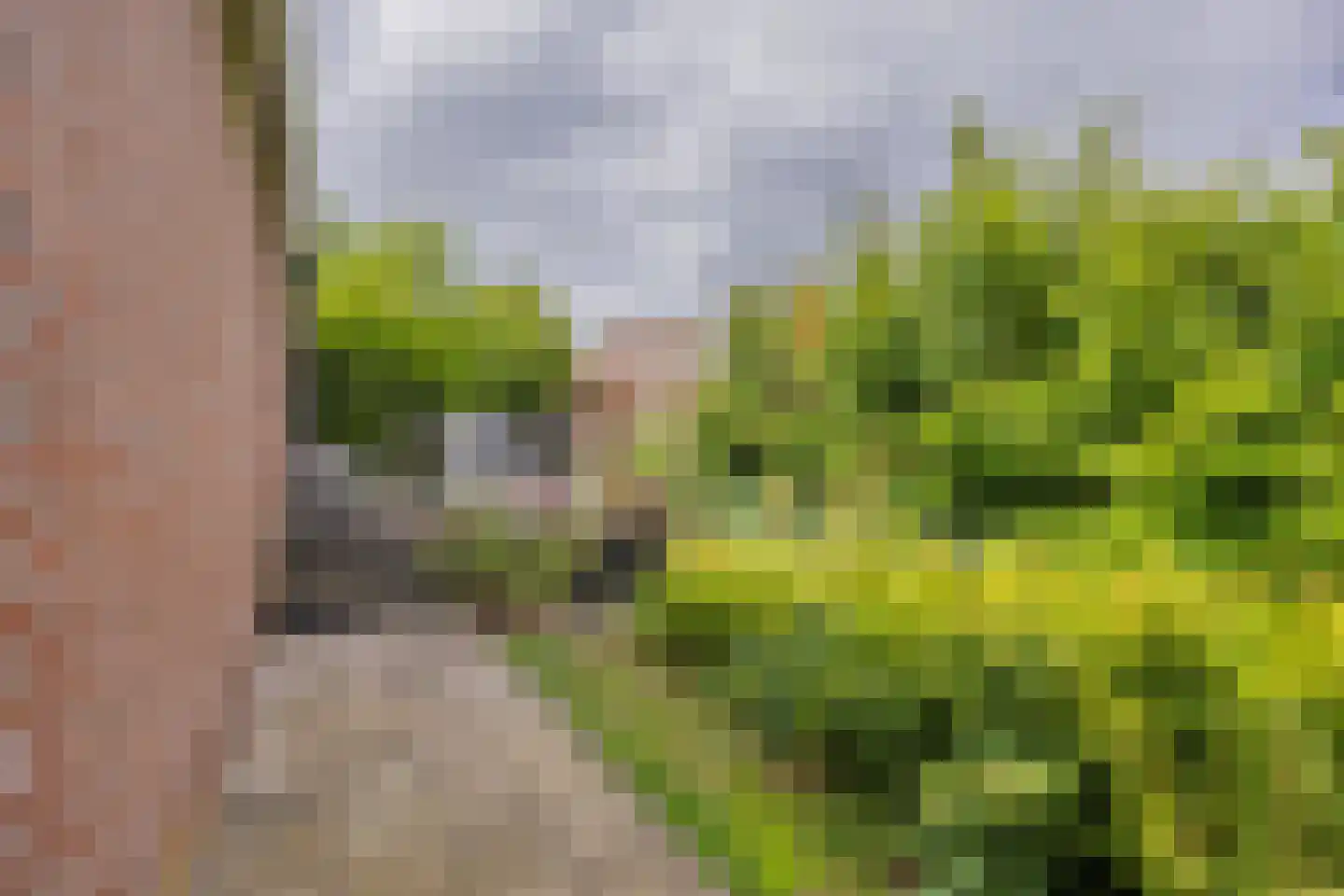 Boven Oosterdiep 106 Veendam thumbnail 68
