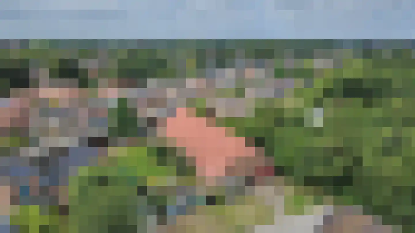 Boven Oosterdiep 106 Veendam thumbnail 8