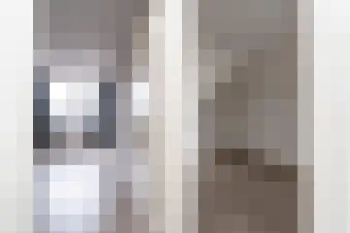 Boven Oosterdiep 143 B Veendam thumbnail 20