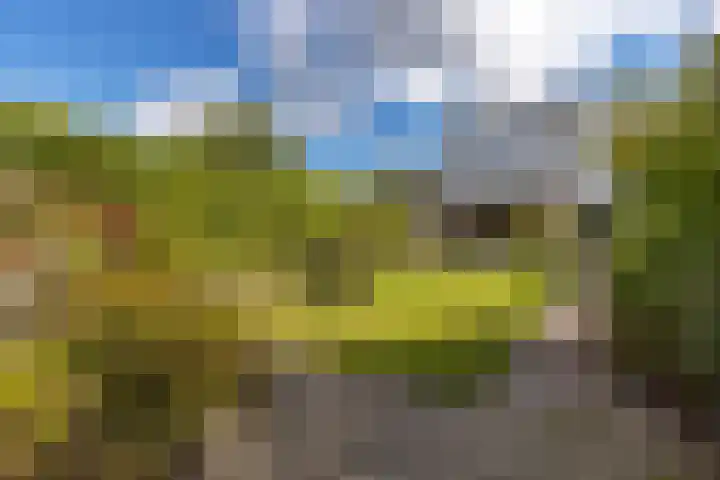 Boven Oosterdiep 157 Veendam thumbnail 49