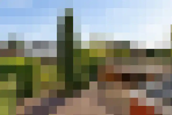 Boven Oosterdiep 157 Veendam thumbnail 63