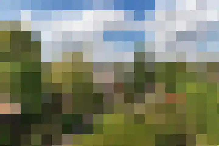 Boven Oosterdiep 157 Veendam thumbnail 66