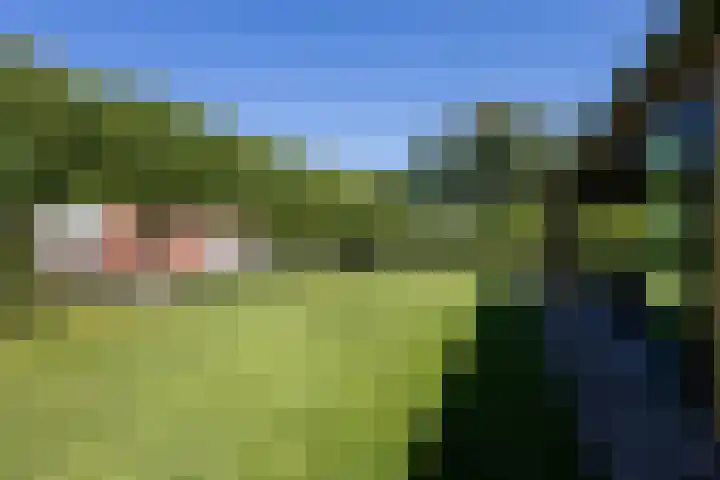 Boven Oosterdiep 60 Veendam thumbnail 31