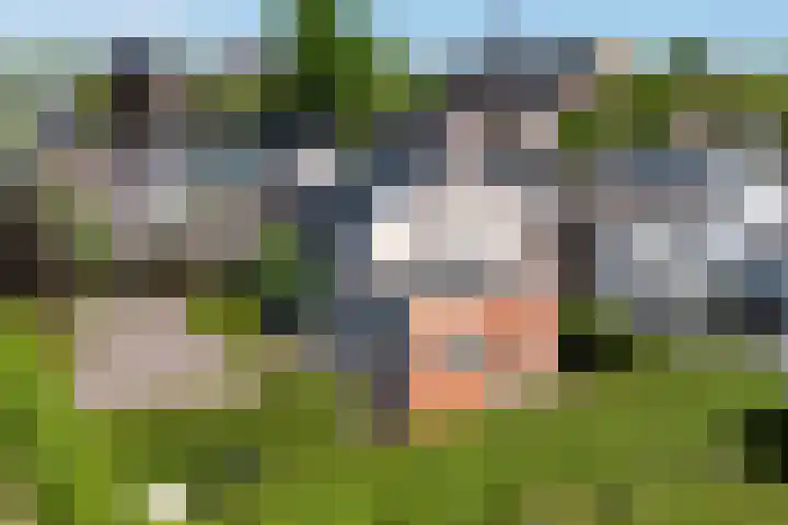 Boven Oosterdiep 60 Veendam thumbnail 4