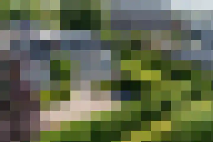 Boven Oosterdiep 60 Veendam thumbnail 48