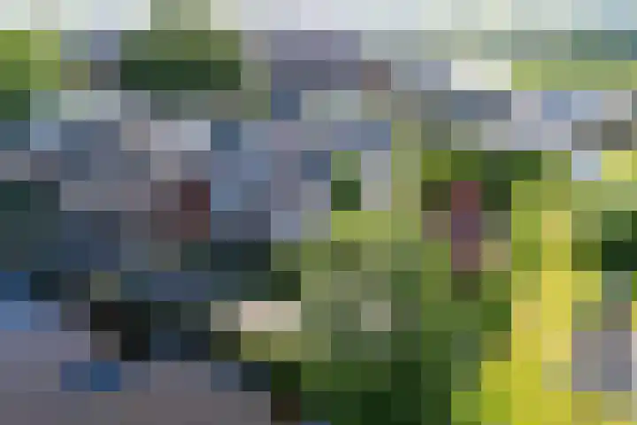 Boven Oosterdiep 60 Veendam thumbnail 49