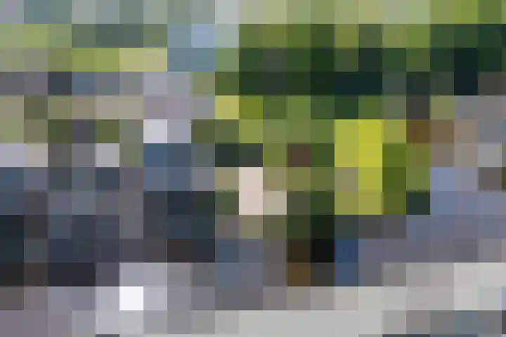 Boven Oosterdiep 60 Veendam thumbnail 50
