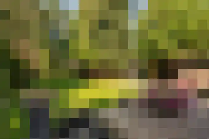 Boven Oosterdiep 65 Veendam thumbnail 48