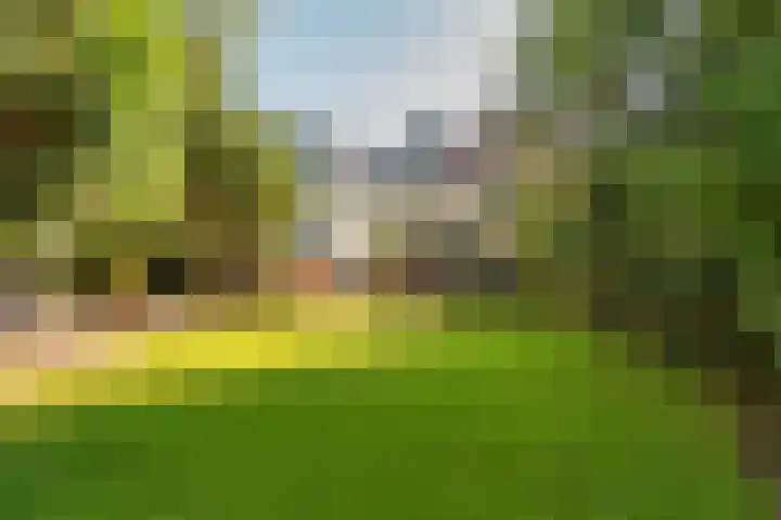 Boven Oosterdiep 65 Veendam thumbnail 49