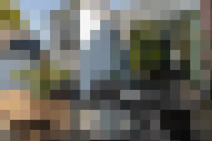 Boven Oosterdiep 65 Veendam thumbnail 50