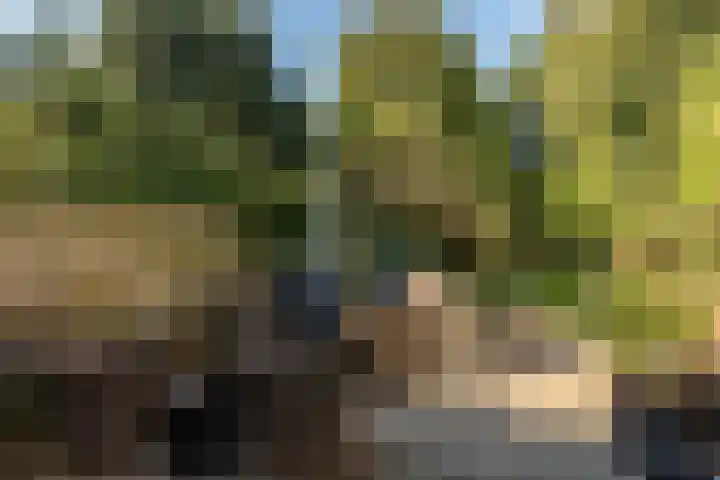 Boven Oosterdiep 65 Veendam thumbnail 51