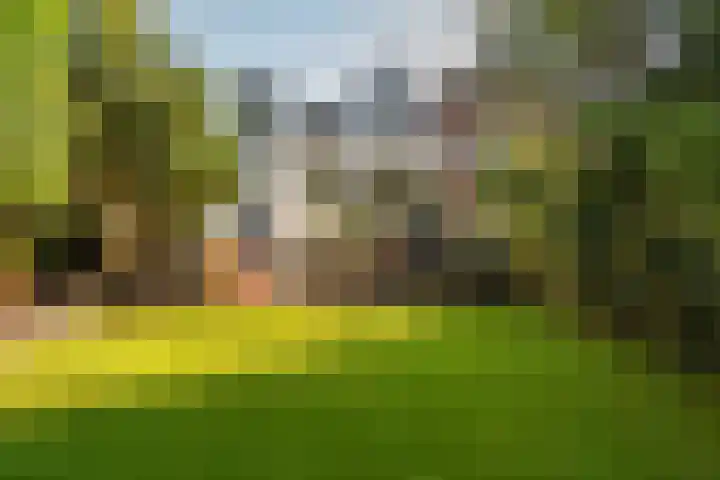 Boven Oosterdiep 65 Veendam thumbnail 53
