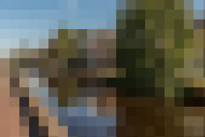 Boven Oosterdiep 65 Veendam thumbnail 54