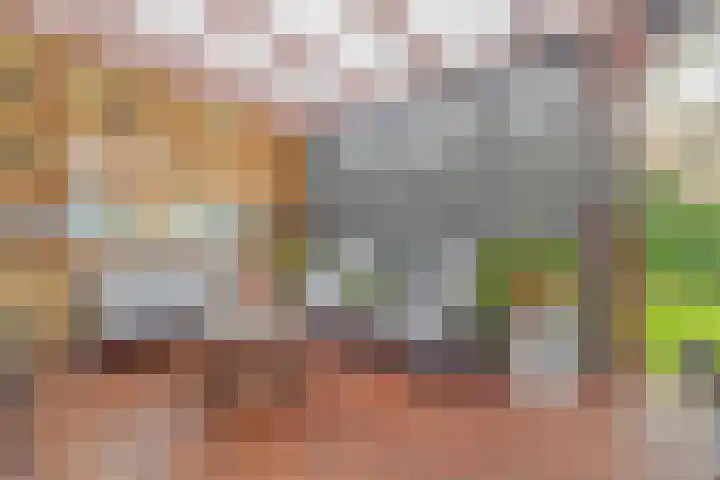 Boven Oosterdiep 73 Veendam thumbnail 30