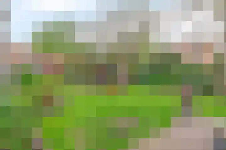 Boven Oosterdiep 73 Veendam thumbnail 31
