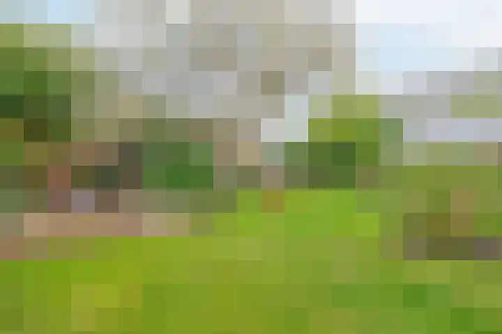 Boven Oosterdiep 73 Veendam thumbnail 32
