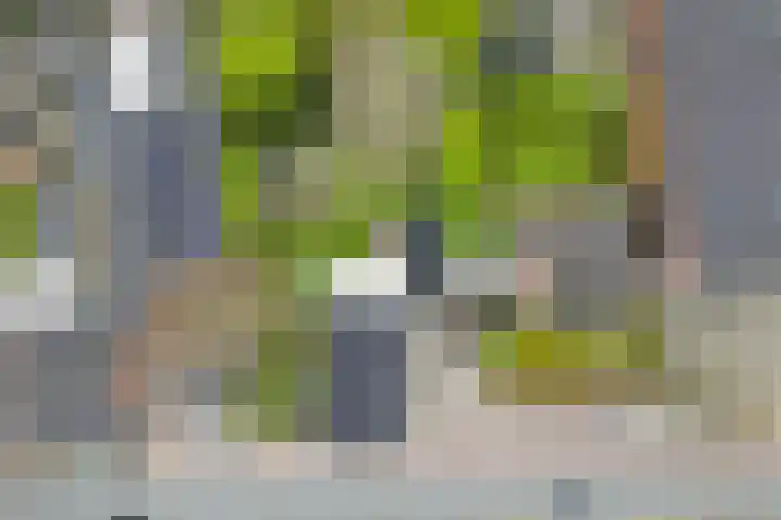 Boven Oosterdiep 73 Veendam thumbnail 41