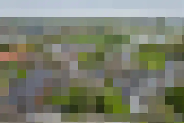 Boven Oosterdiep 73 Veendam thumbnail 43