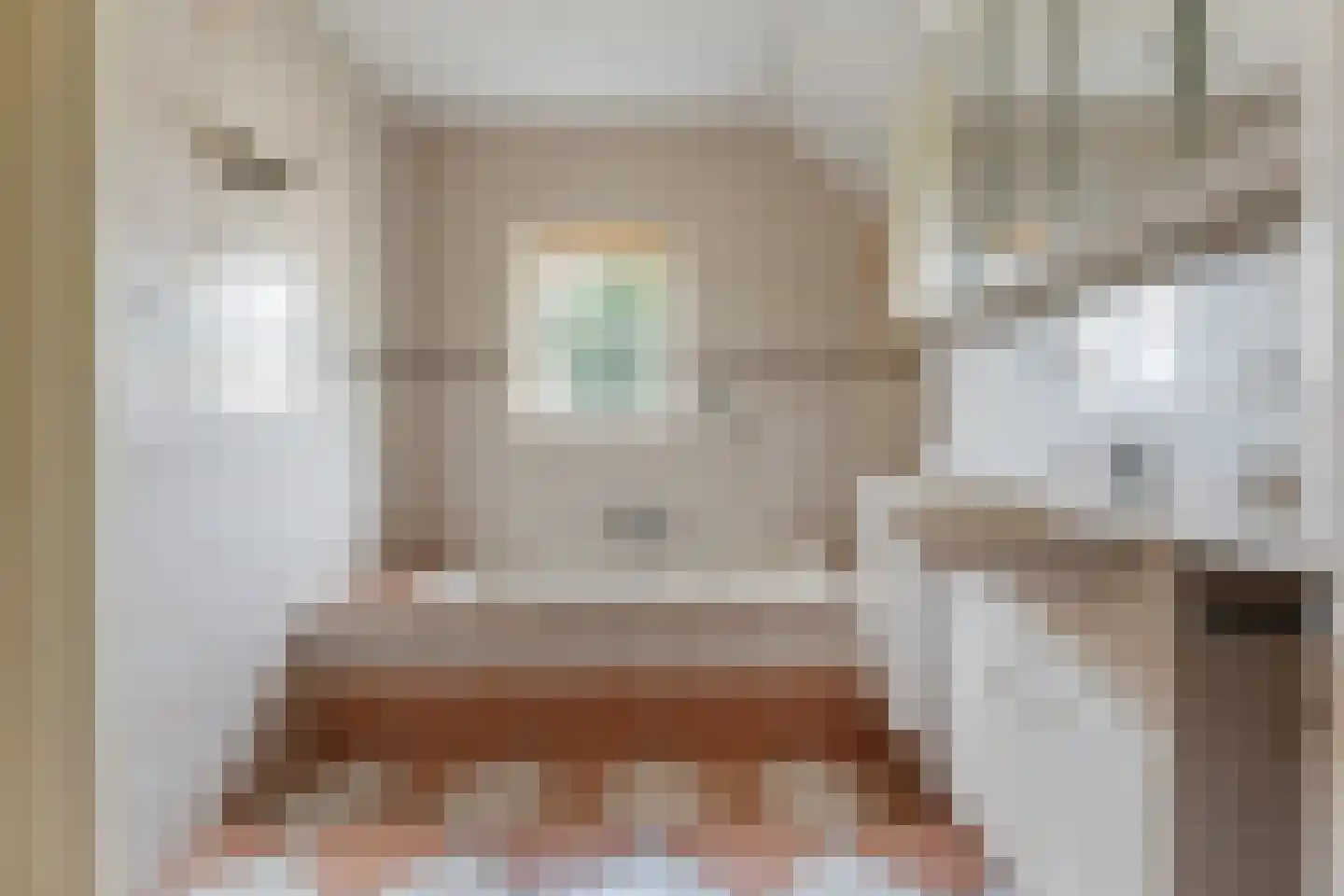 Boven Veensloot 17 Meeden thumbnail 19