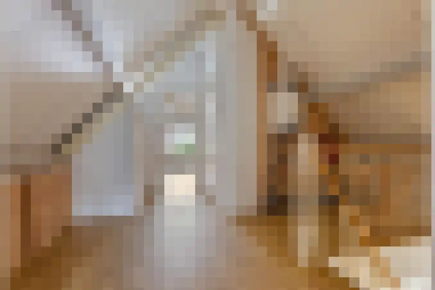 Boven Veensloot 17 Meeden thumbnail 22
