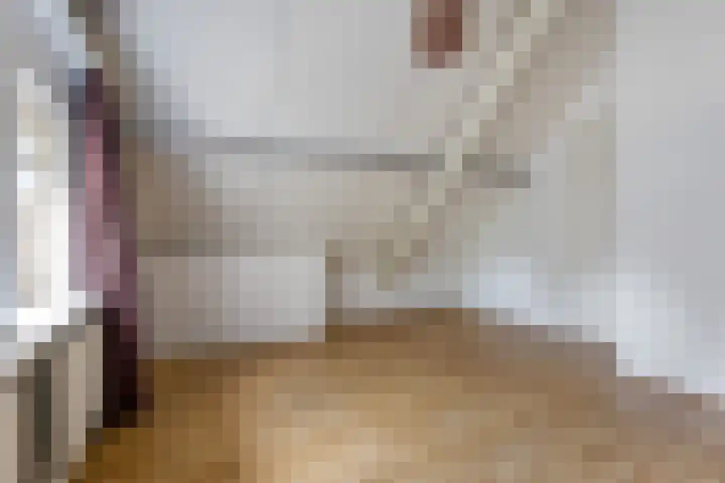 Boven Veensloot 17 Meeden thumbnail 24