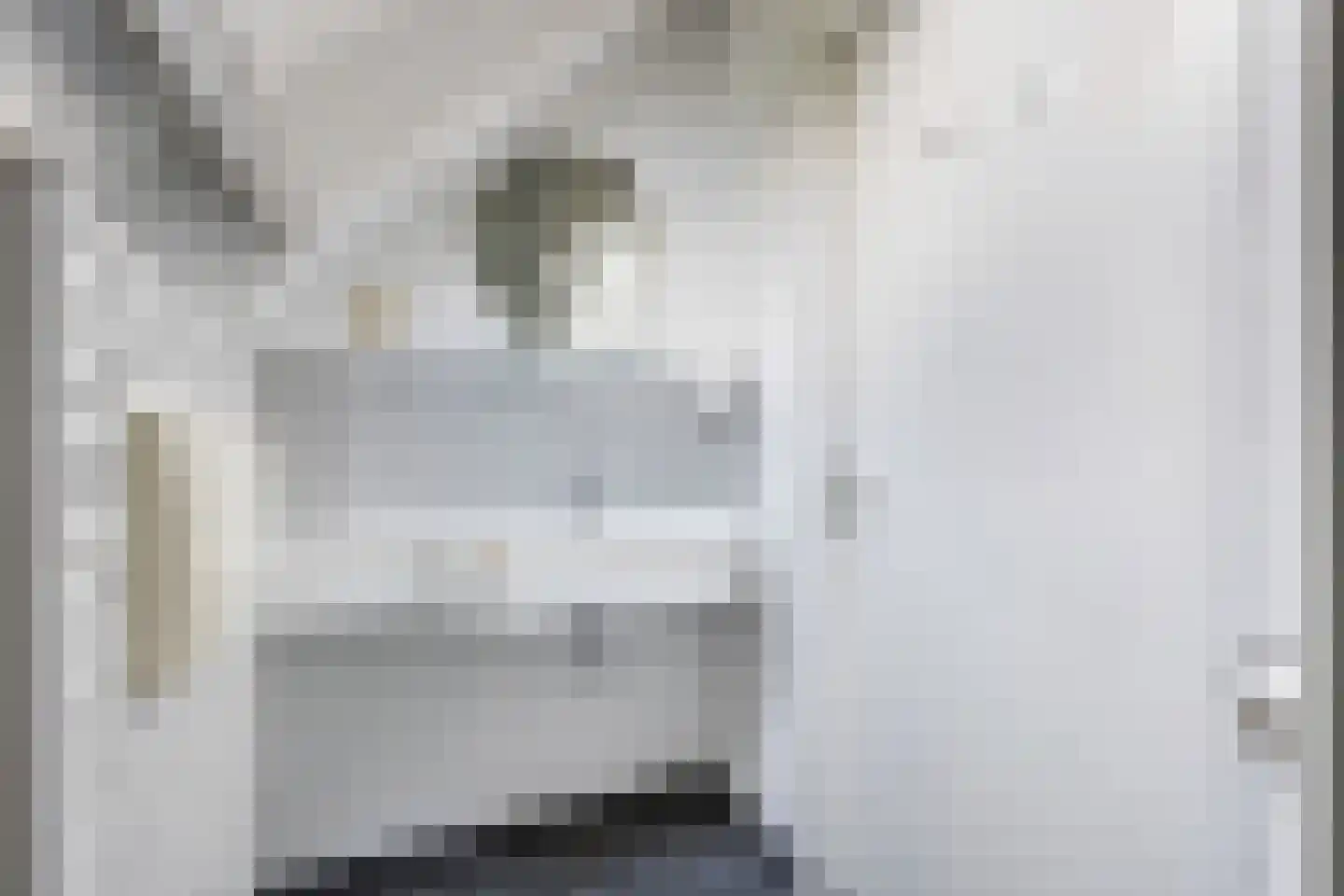 Boven Veensloot 17 Meeden thumbnail 28
