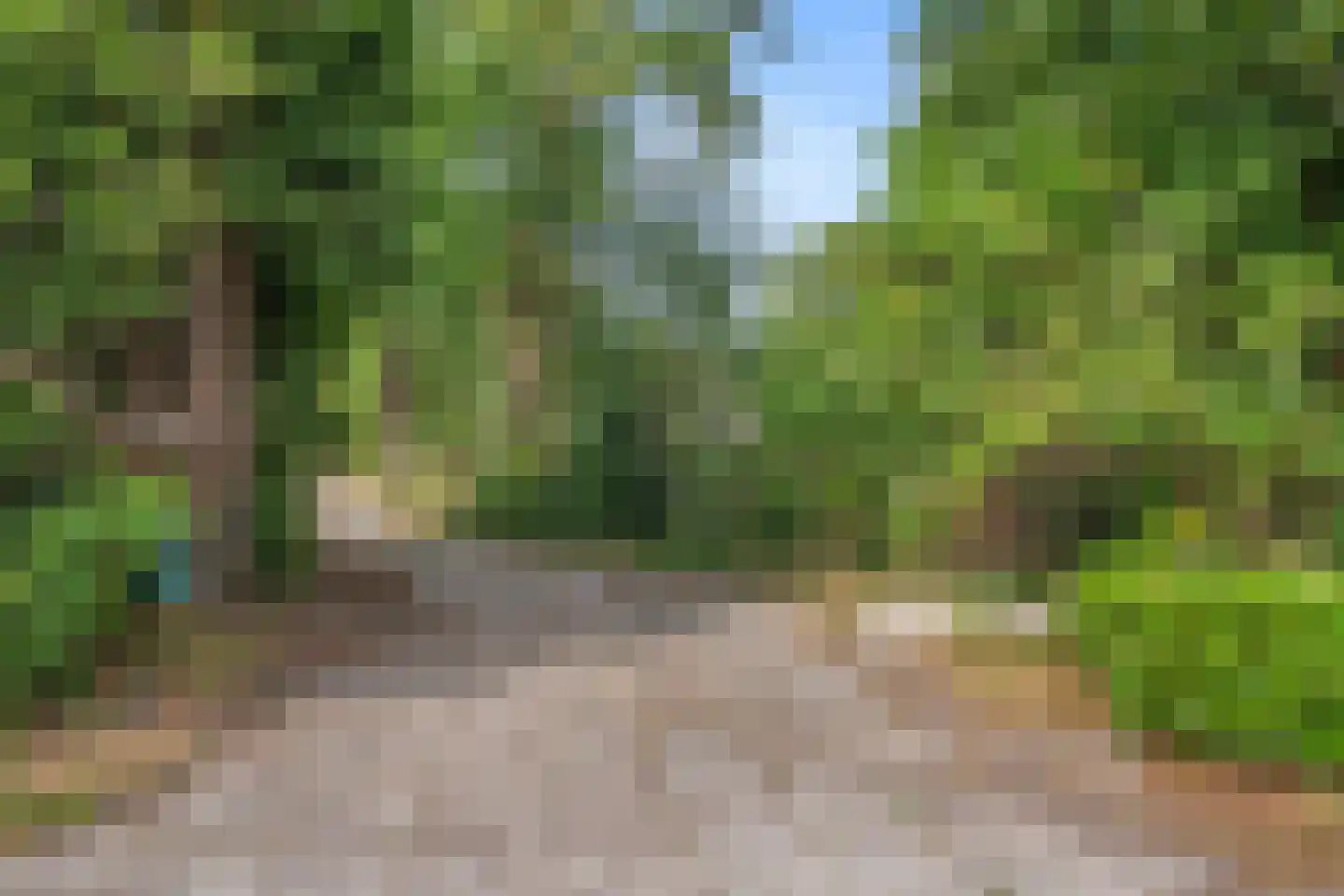 Boven Veensloot 17 Meeden thumbnail 32