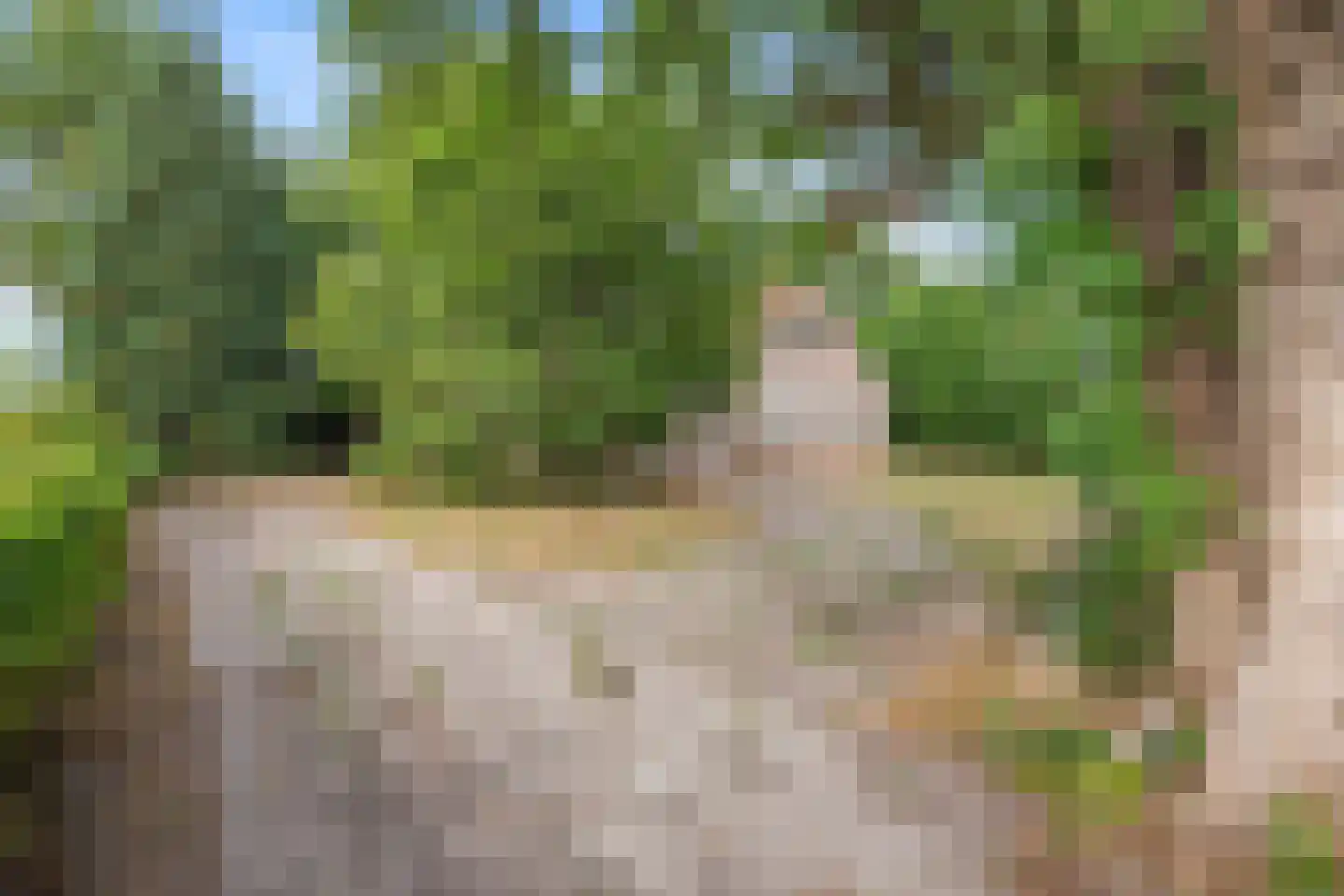 Boven Veensloot 17 Meeden thumbnail 33