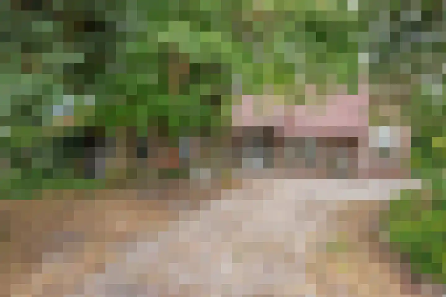 Boven Veensloot 17 Meeden thumbnail 38