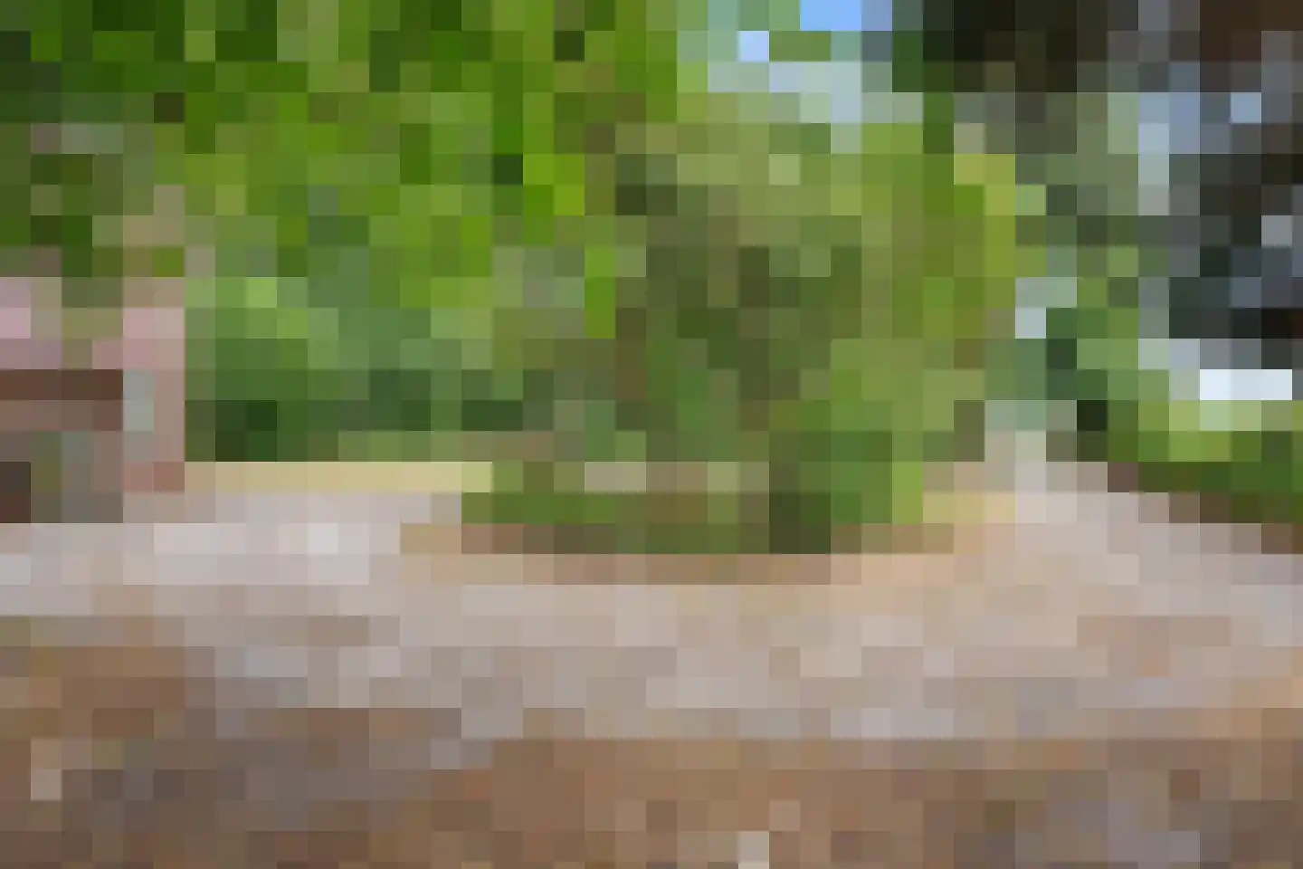 Boven Veensloot 17 Meeden thumbnail 39