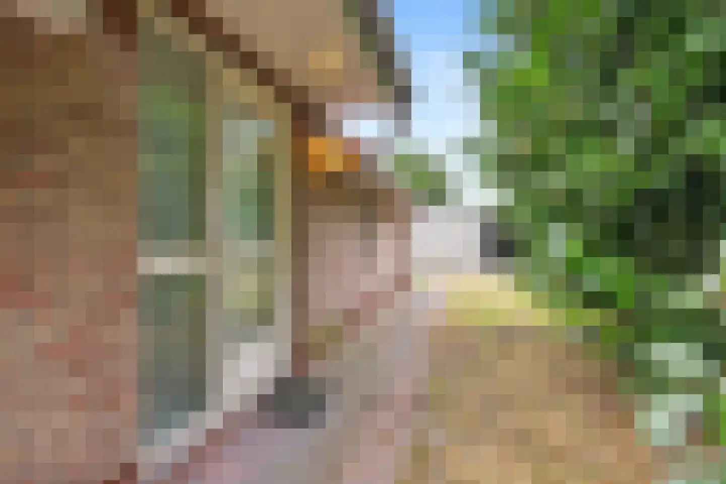 Boven Veensloot 17 Meeden thumbnail 41