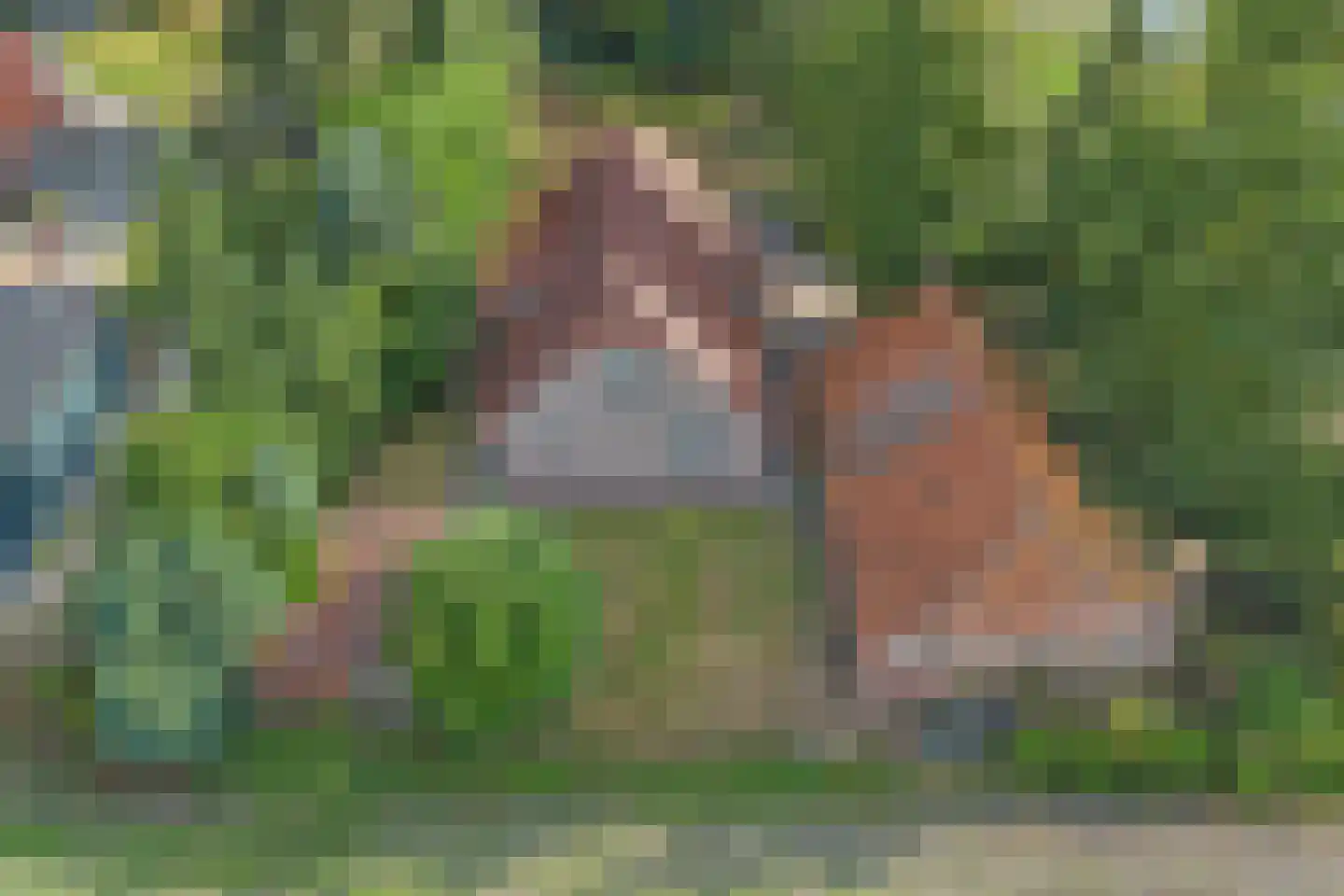 Boven Veensloot 17 Meeden thumbnail 44