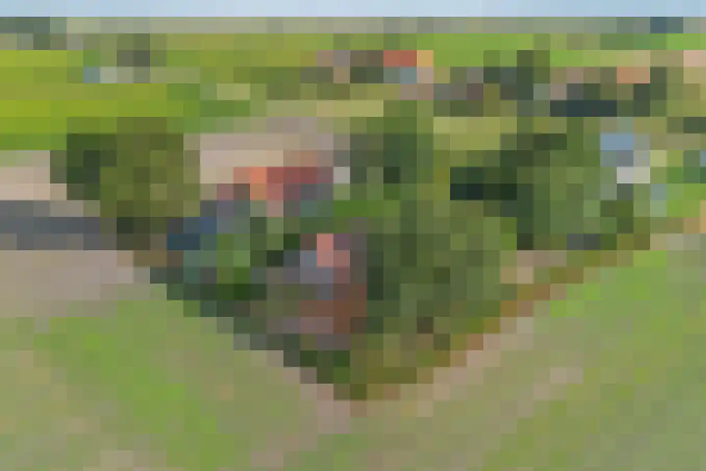 Boven Veensloot 17 Meeden thumbnail 47