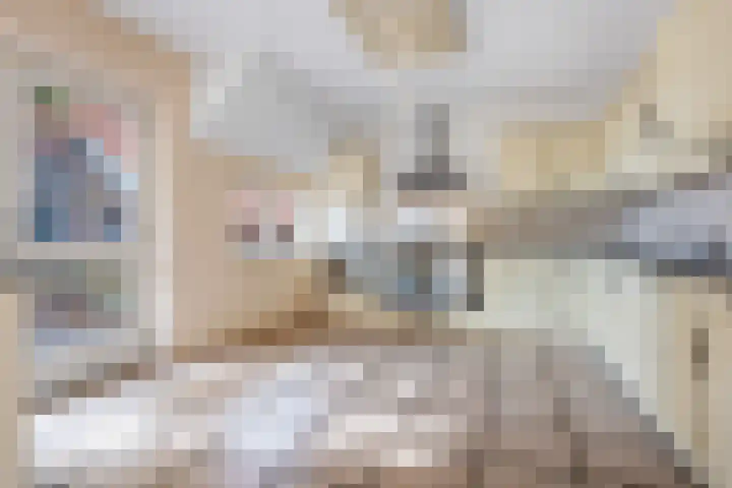 Boven Veensloot 17 Meeden thumbnail 5