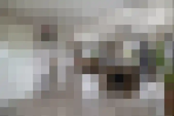 Boven Veensloot 23 Meeden thumbnail 12