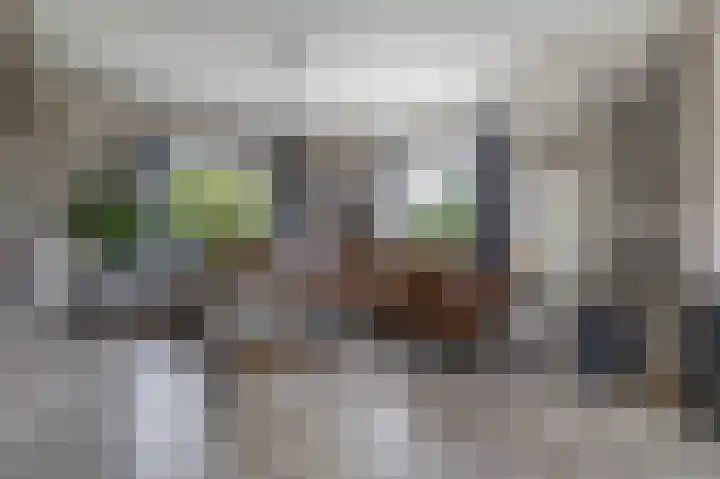 Boven Veensloot 23 Meeden thumbnail 13