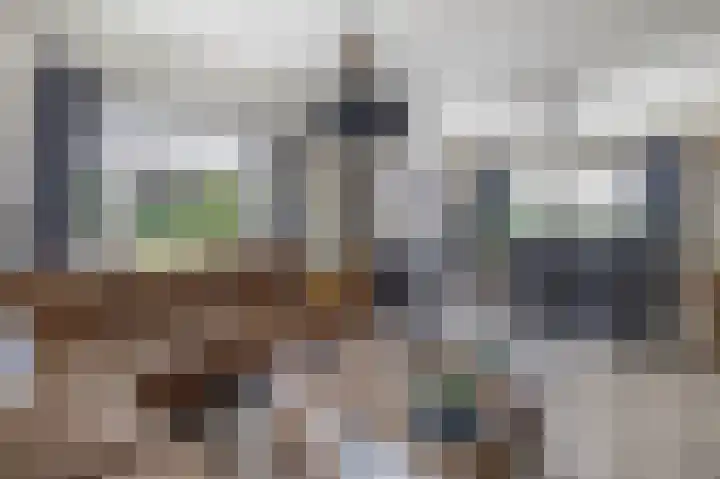 Boven Veensloot 23 Meeden thumbnail 14