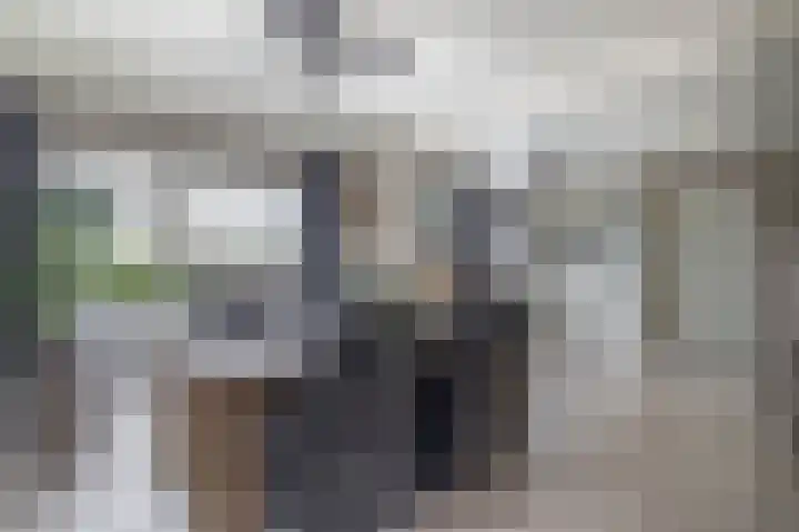 Boven Veensloot 23 Meeden thumbnail 15