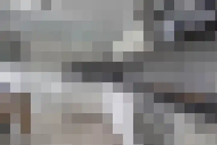 Boven Veensloot 23 Meeden thumbnail 17