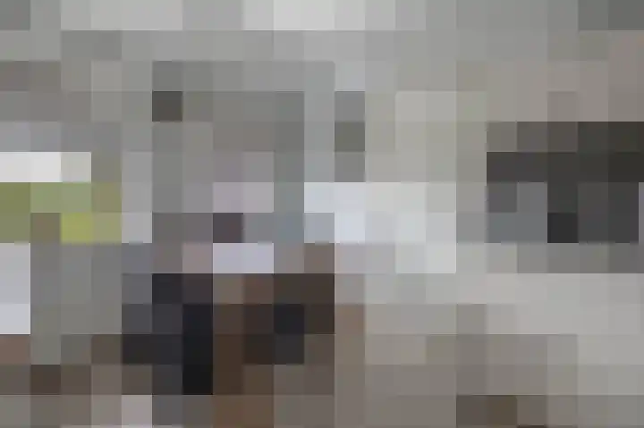 Boven Veensloot 23 Meeden thumbnail 19