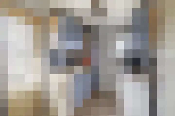 Boven Veensloot 23 Meeden thumbnail 20